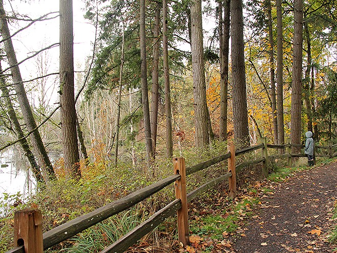 Woods7 Woods7