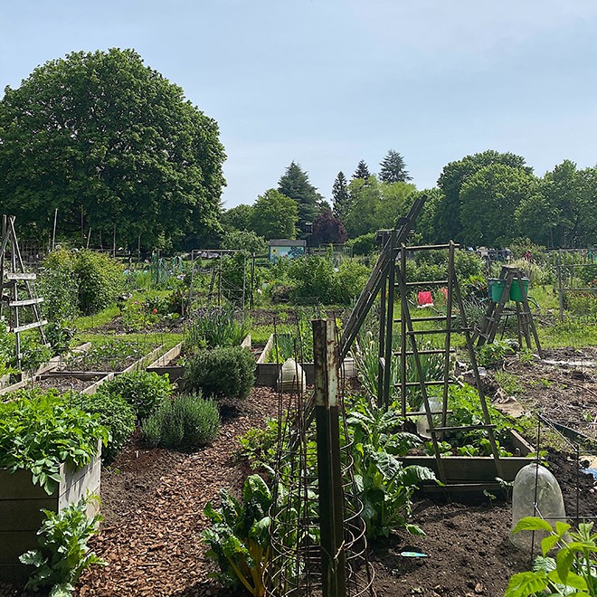 31Garden1 31Garden1