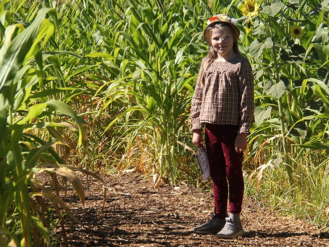 FArm9